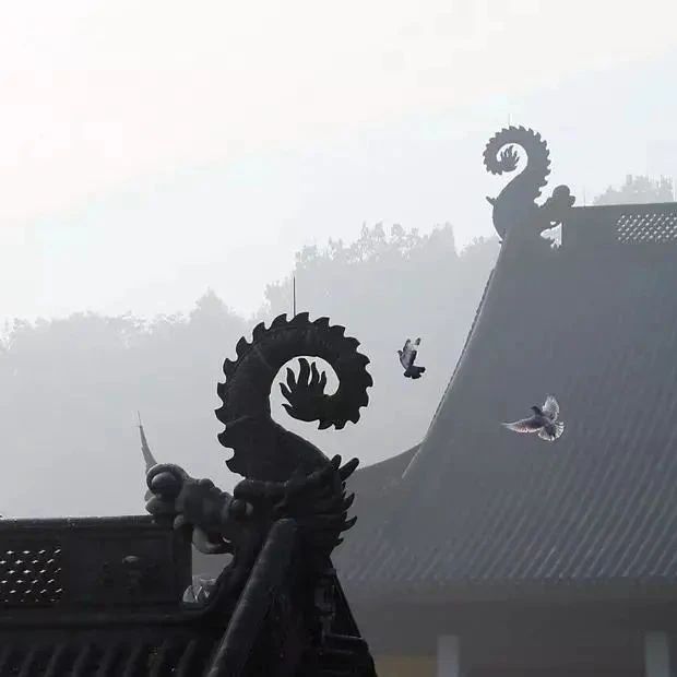 二月二，龙抬头，你知道龙在佛经中是什么形象吗？