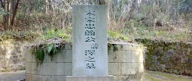 厉害了！镇江张村的祖先，原来大有来头！