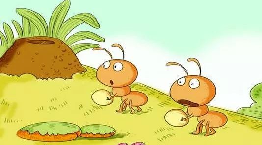 常见答疑不小心踩死蚂蚁是杀生吗？