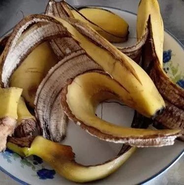 10分钟香蕉皮变最棒的花肥，快快收藏！