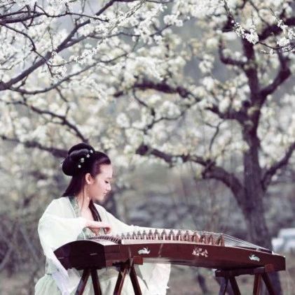 【古琴】传承琴风古韵，静听悠然琴音—古琴艺术文化分享会