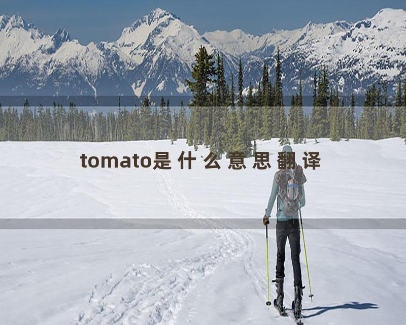 tomato是什么意思翻译